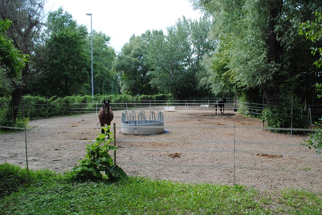 Bild 24